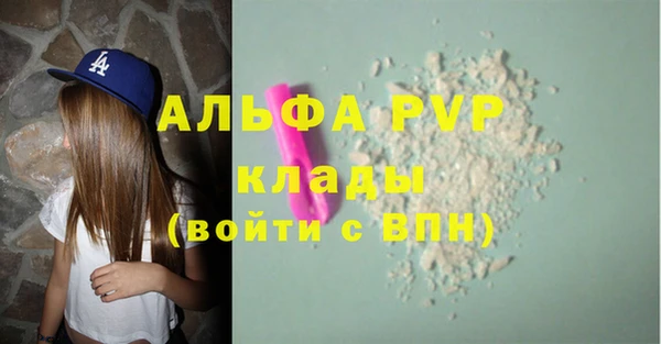 скорость Новозыбков
