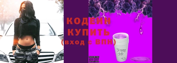 скорость Новозыбков