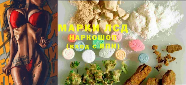 ешки Новодвинск
