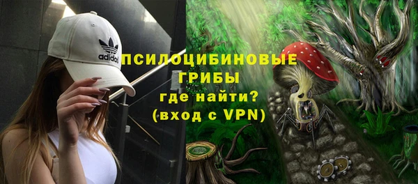 ешки Новодвинск