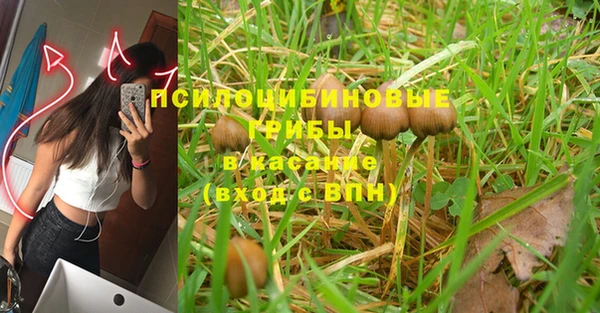 круглые Новокубанск