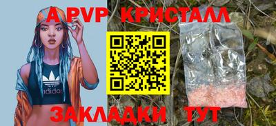 прущие грибы Дубна