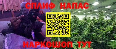 прущие грибы Дубна