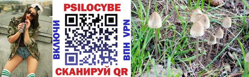 блэк спрут   Моздок  Галлюциногенные грибы мухоморы 
