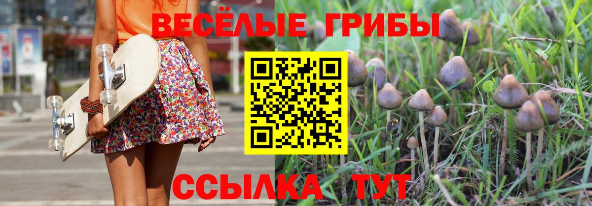Моздок  Псилоцибиновые грибы Psilocybe  Вход с VPN 